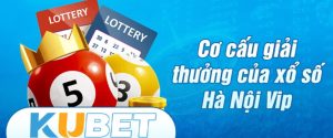 Hà Nội Vip là gì?