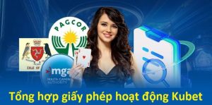 Khái niệm giấy phép kinh doanh