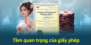 Loại giấy phép kinh doanh Kubet đang sở hữu